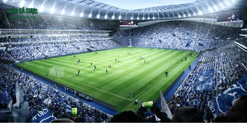 Mẹo phân tích phong độ đội bóng qua các yếu tố quan trọng