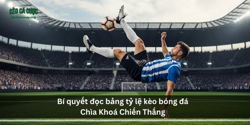 Hướng dẫn đọc bảng tỷ lệ kèo bóng đá - Bí quyết đặt cược hiệu quả