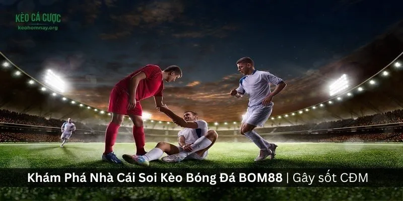 Kèo cá cược bom88