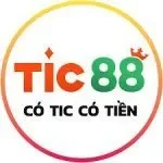 tic88 icon