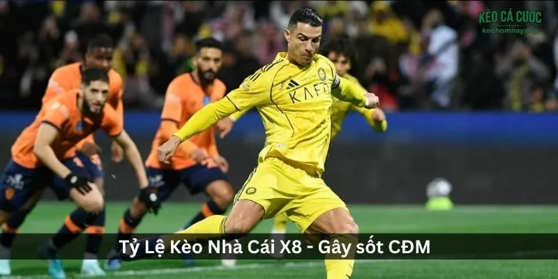 Dịch Vụ Hỗ Trợ Khách Hàng và Các Chương Trình Khuyến Mãi