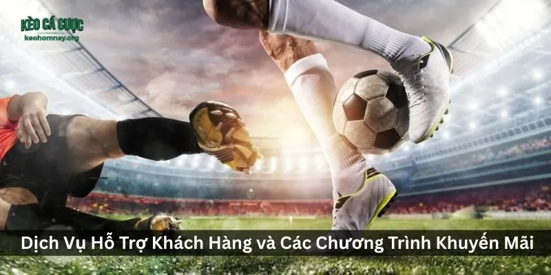 Review Chi Tiết Nhà Cái X8 - chính sách, tỷ lệ kèo