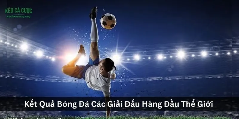 Kết Quả Bóng Đá Các Giải Đấu Hàng Đầu Thế Giới