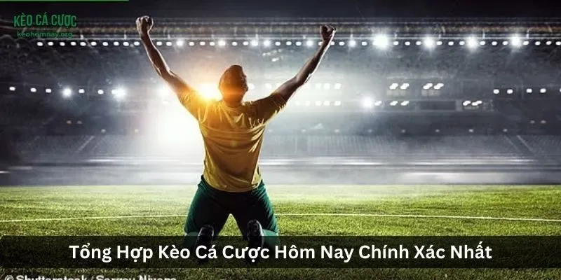 Tổng Hợp Kèo Cá Cược Hôm Nay Chính Xác Nhất