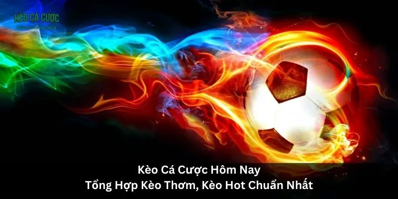 Kèo Cá Cược Hôm Nay | Tổng Hợp Kèo Thơm, Kèo Hot Chuẩn Nhất